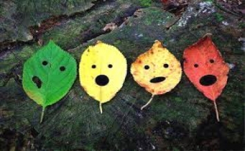 Đối mặt với khổ đau